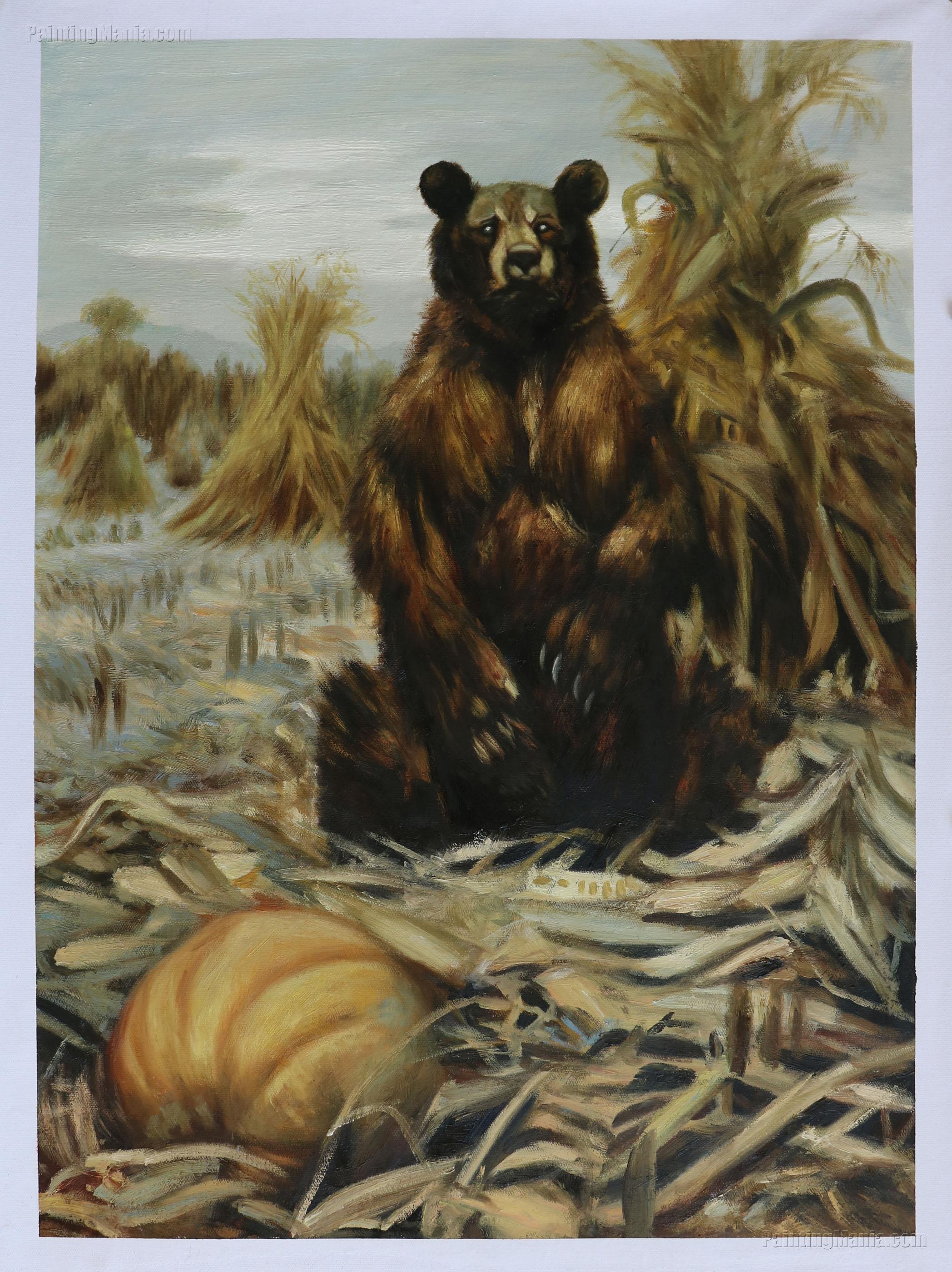 The Nature of Bears