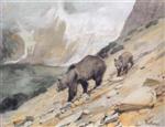 Glacier Park Bears