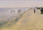 Summer Day at the South Beach of Skagen
