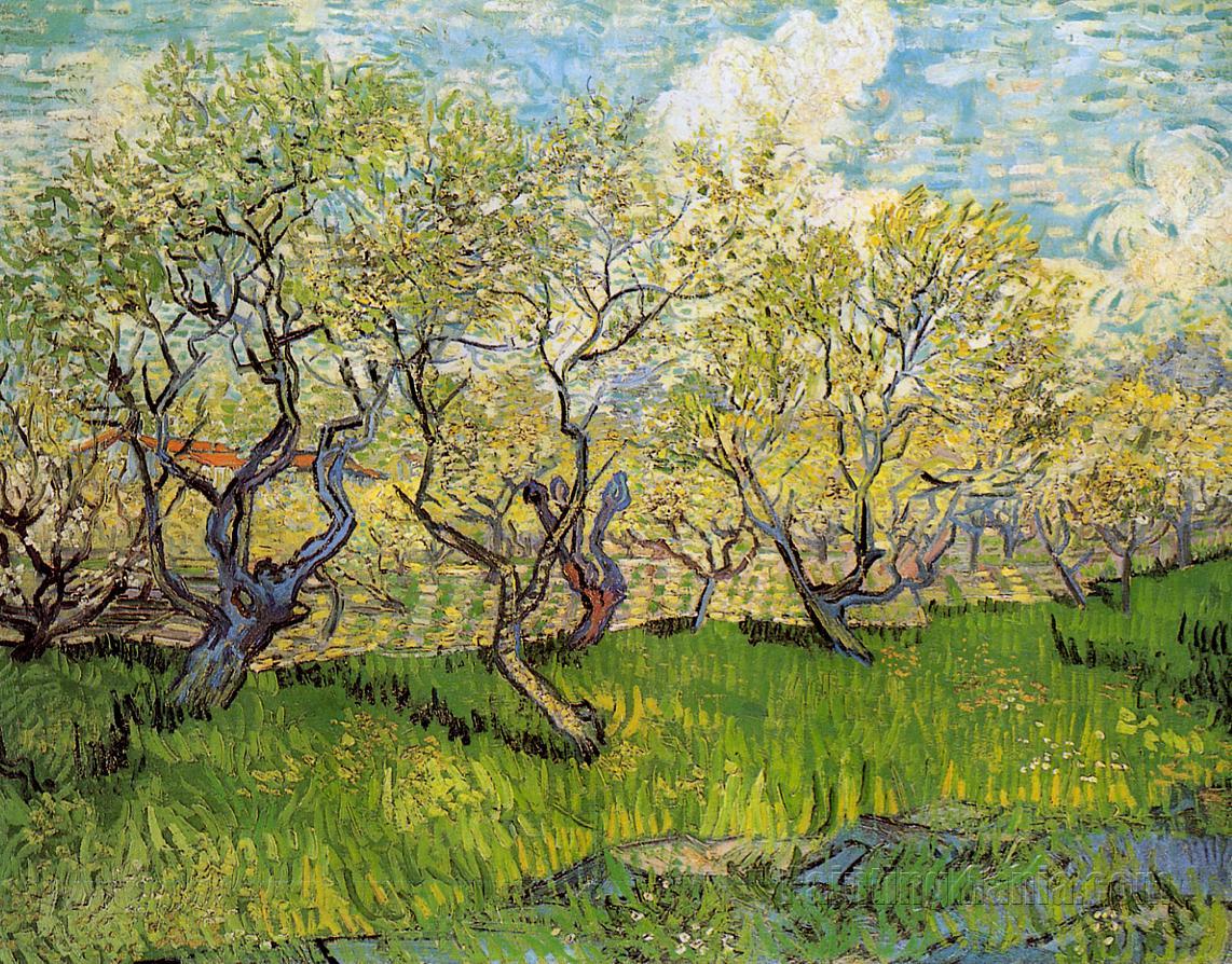 Orchard in Blossom 1