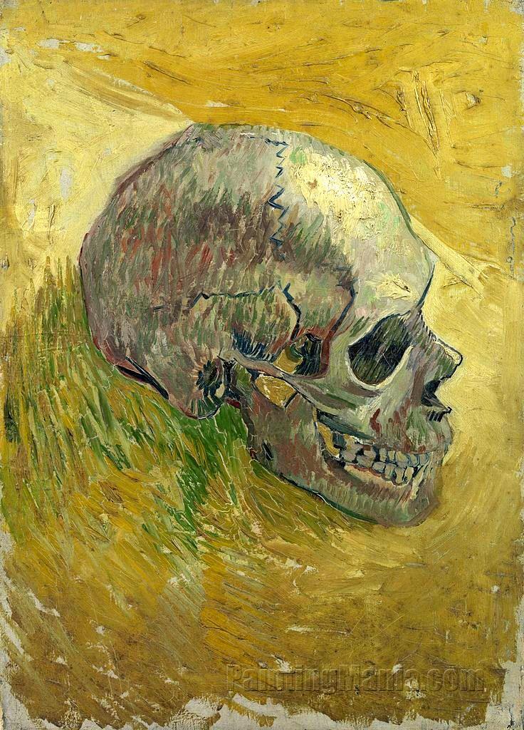 Skull 1887-88