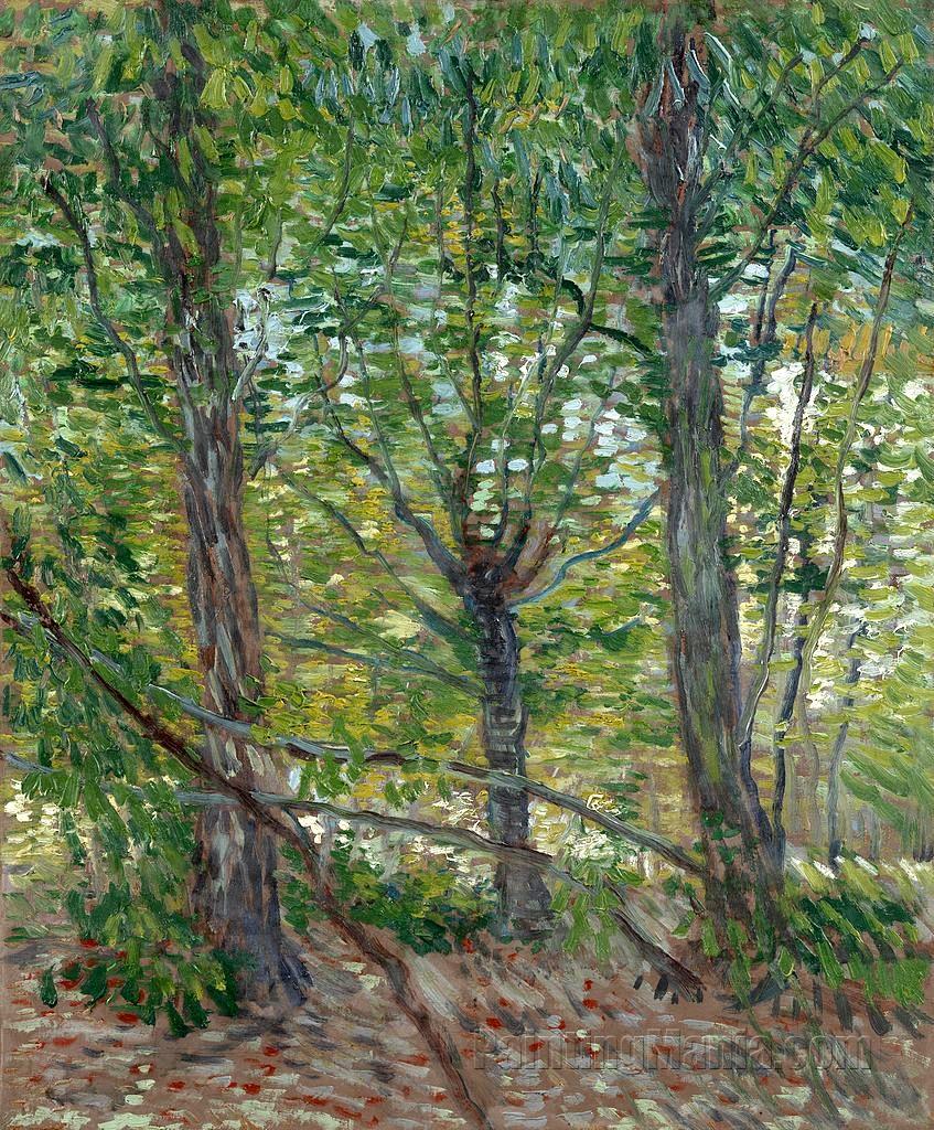 Trees 1887