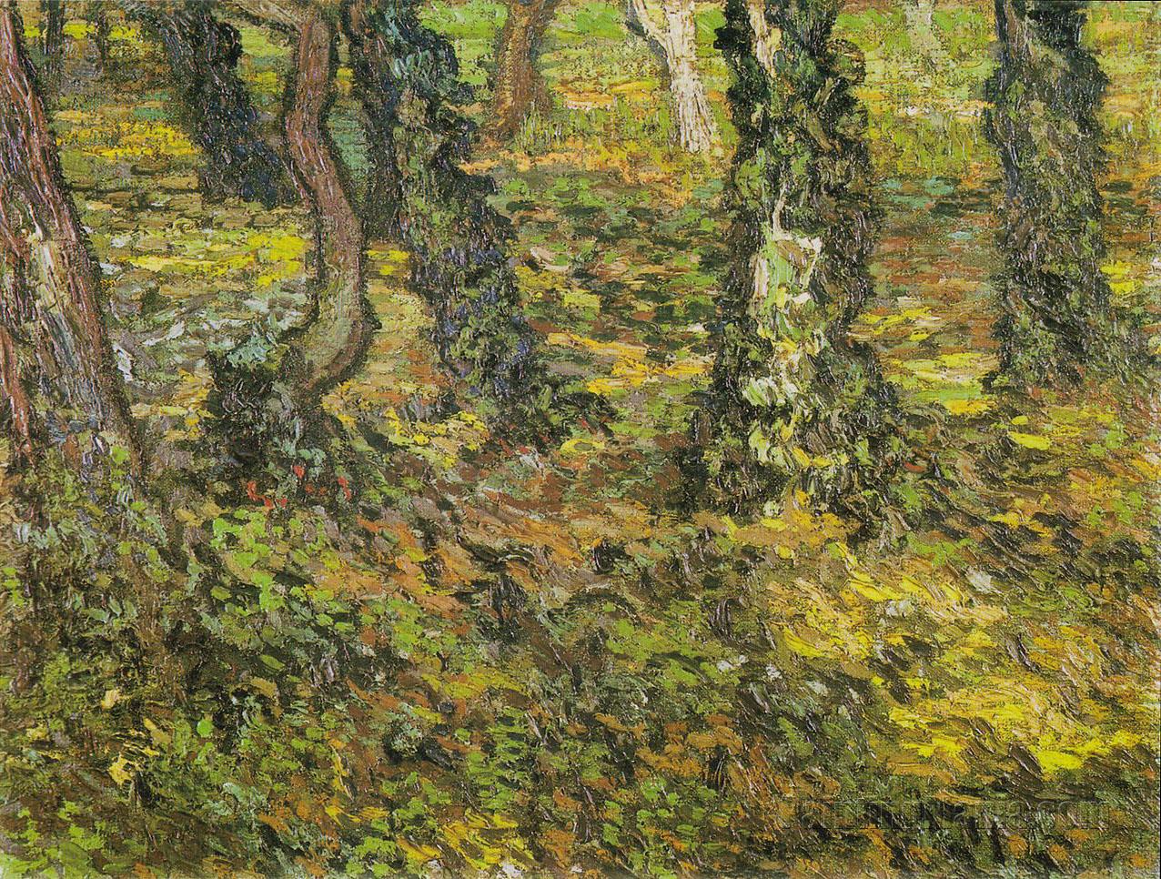 Undergrowth with Ivy 1889