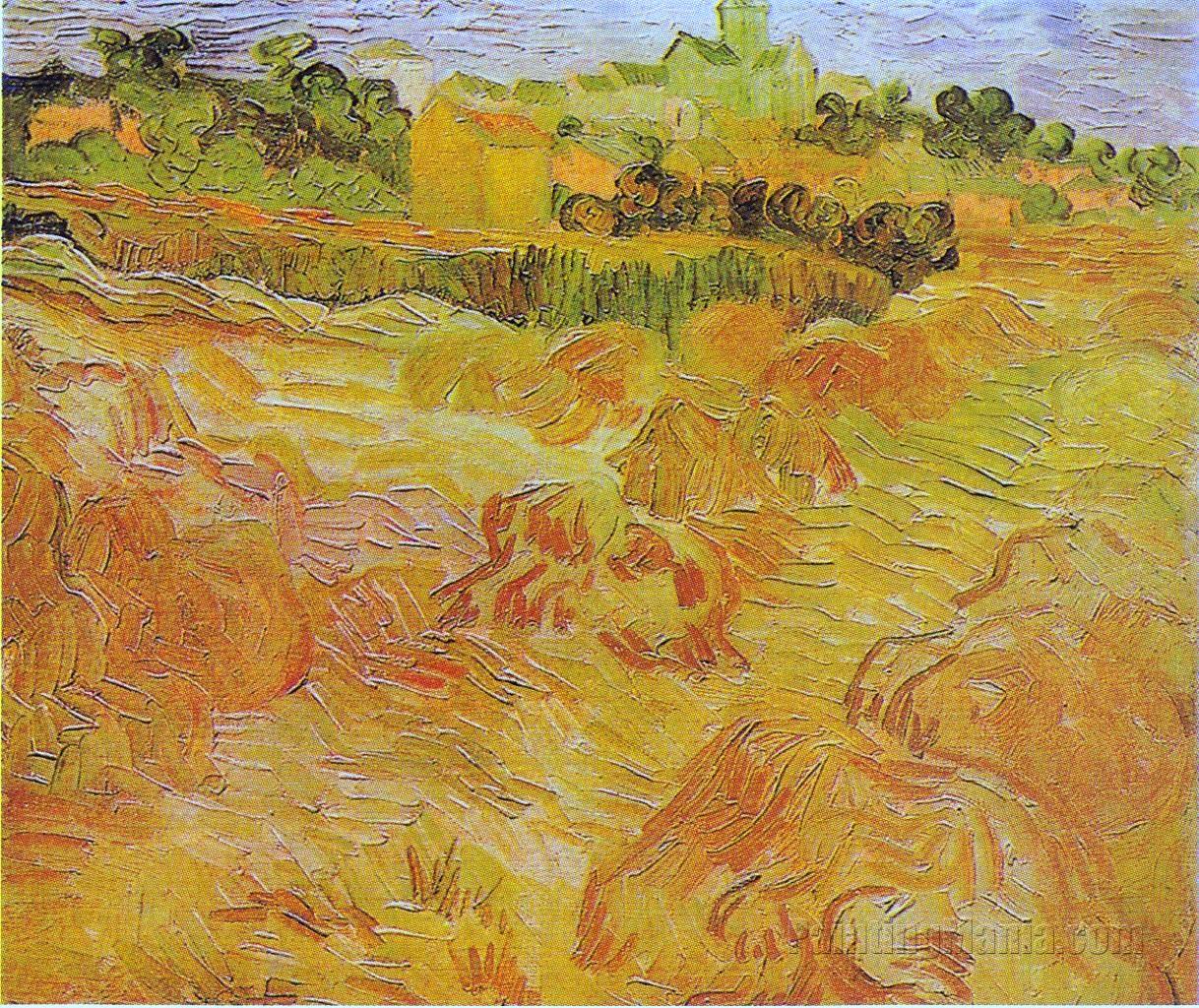 Wheat Fields with Auvers in the Background