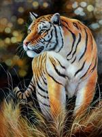 The Female Tiger