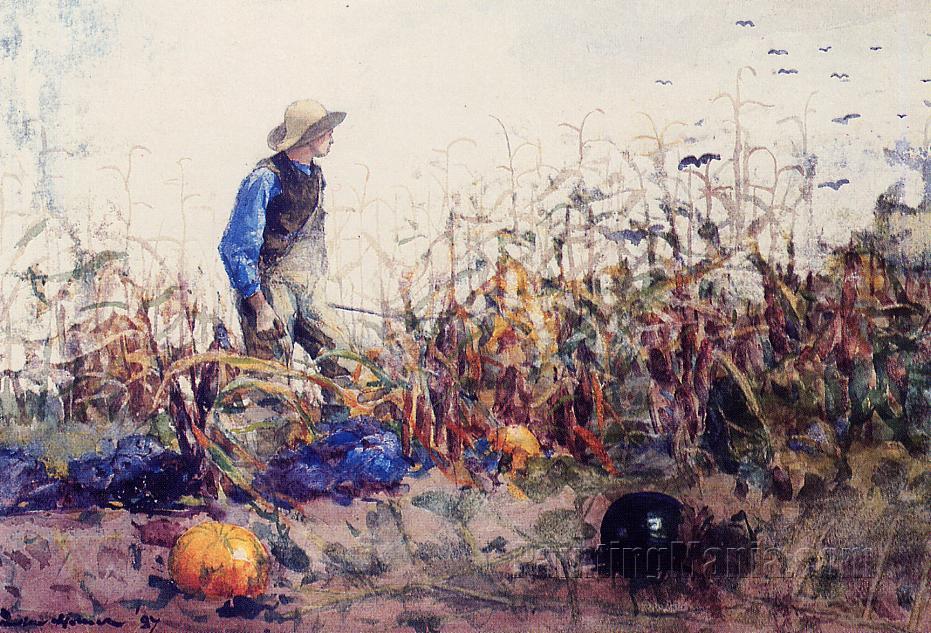 Among the Vegetables (Boy in a Cornfield)