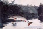Leaping Trout 2