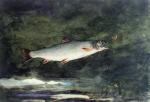 Leaping Trout 3