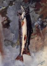 Two Trout 1889